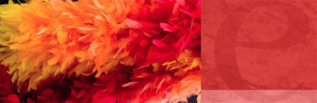 Vogelveren- Spektakel Vogelveren- Spektakel